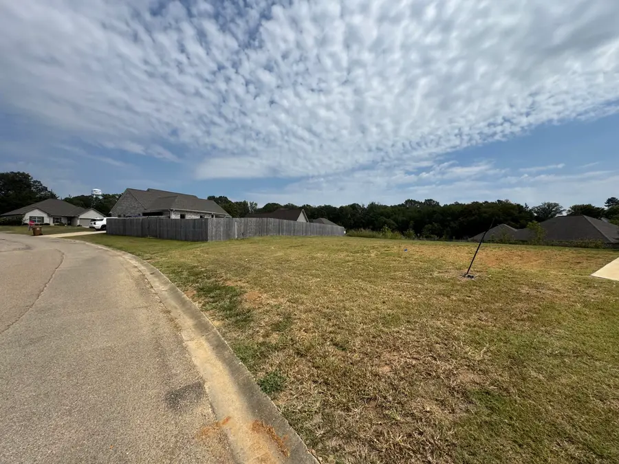 Cane Creek - Lot 27, Saltillo, MS 38866 - Image #3