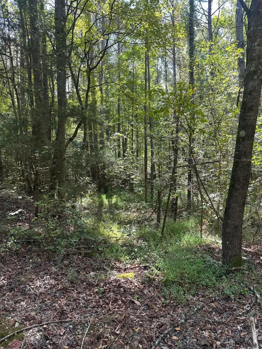 Mule Pulling Rd, Pontotoc, MS 38863 - Image #2