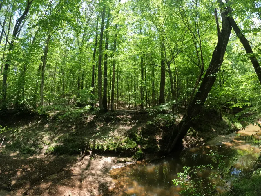 Cr 409, Corinth, MS 38834 - Image #2