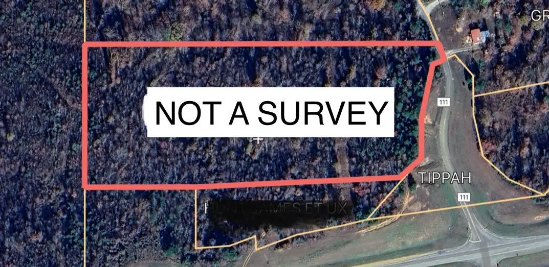 141 Cr111, Walnut, MS 38683 - Image #1