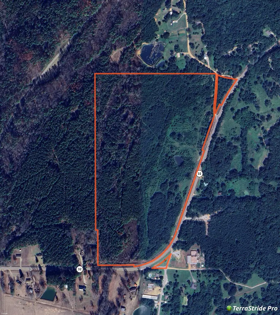 Hwy 32, Van Vleet, MS 38851 - Image #3