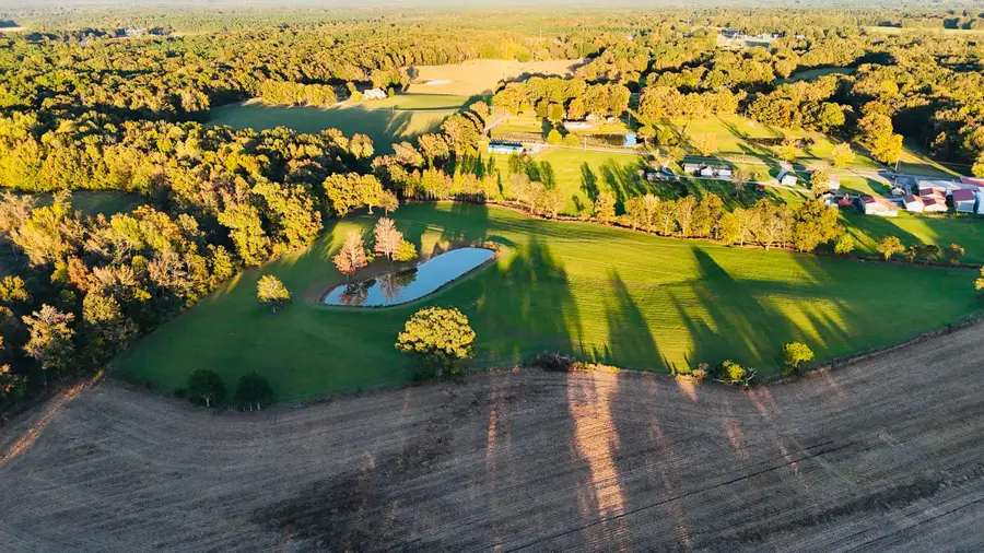 County Road 516, Rienzi, MS 38865 - Image #3