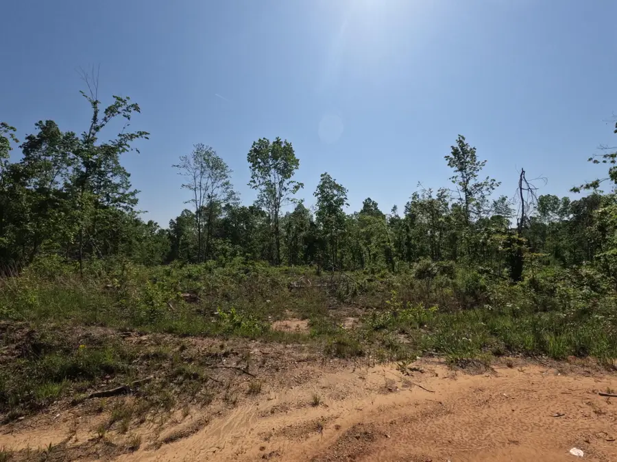 Cr 3485, New Site, MS 38859 - Image #3