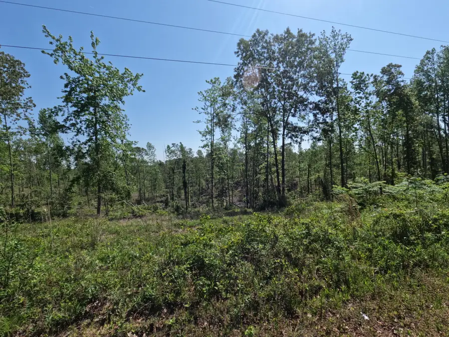 Cr 4201, New Site, MS 38859 - Image #3