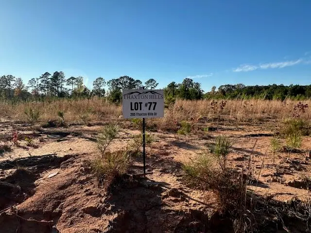 205 (lot 77) Thaxton Hills Dr., Thaxton, MS 38871 - Image #2