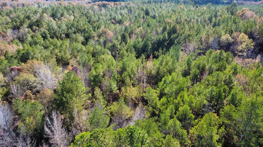 County Road 16, Dennis, MS 38838 - Image #2