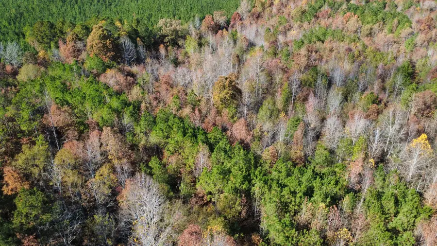 County Road 16, Dennis, MS 38838 - Image #3