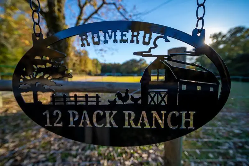 9371 Co Rd 701, Ripley, MS 38663 - Image #2