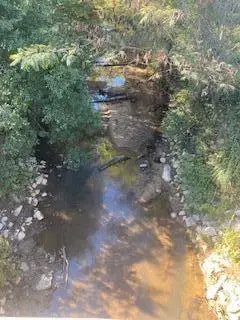 Cr 600, Booneville, MS 38829 - Image #3