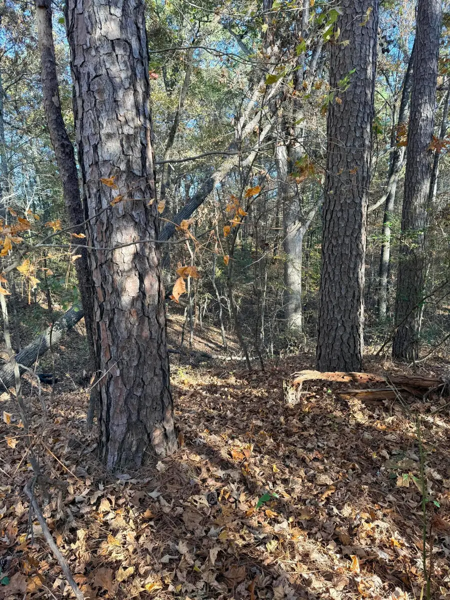 Cr 5011, Baldwyn, MS 38824 - Image #2