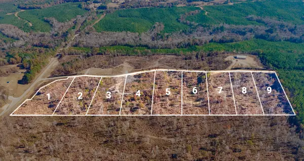 County Road 4251 Lot 1, New Site, MS 38859