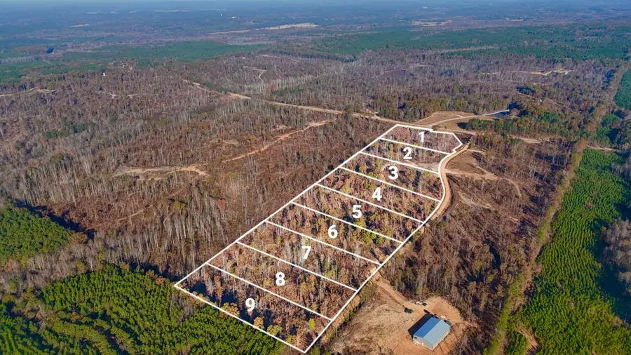 County Road 4251 Lot 4, New Site, MS 38859 - Image #3