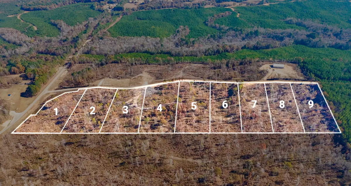 County Road 4251 Lot 7, New Site, MS 38859 - Image #1