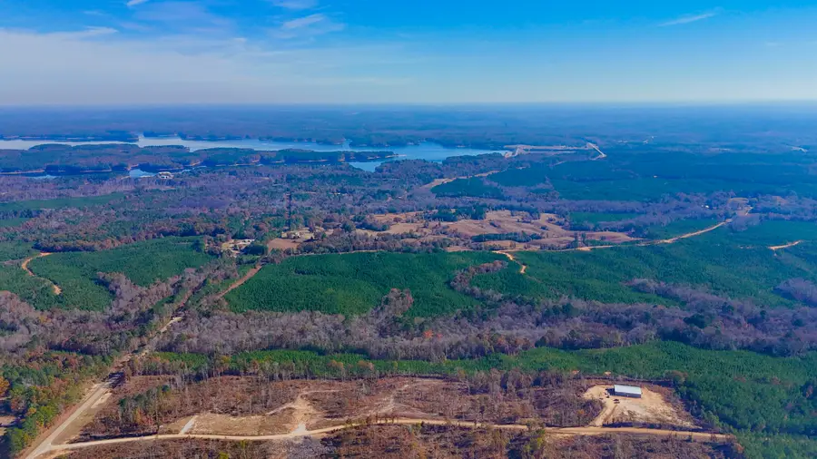County Road 4251 Lot 7, New Site, MS 38859 - Image #2