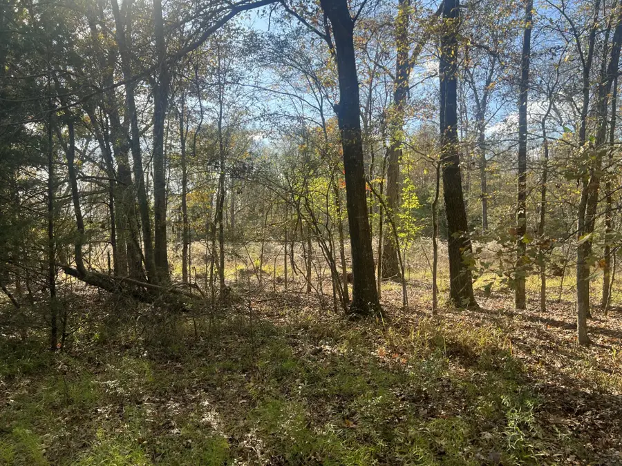 Lot 10 Cr 139, Okolona, MS 38860 - Image #3