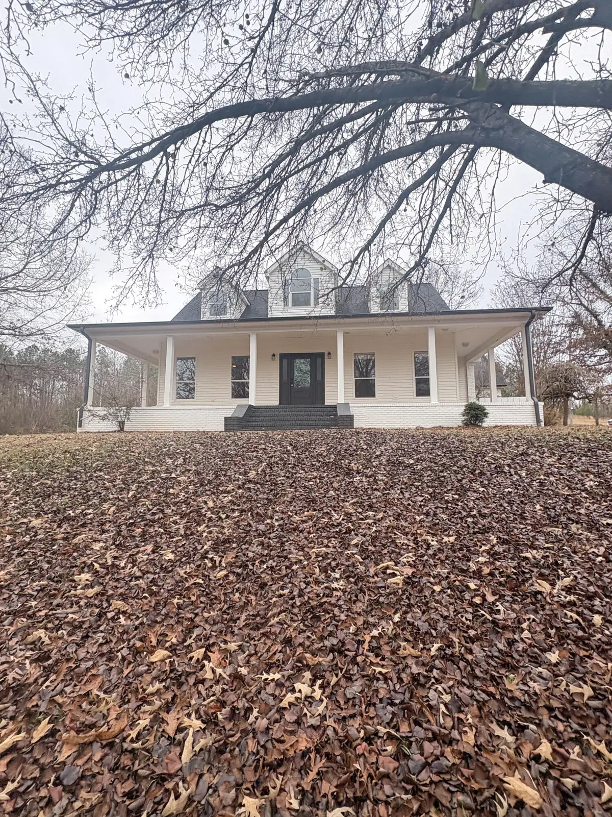 808 County Road 54, New Albany, MS 38652 - Image #1