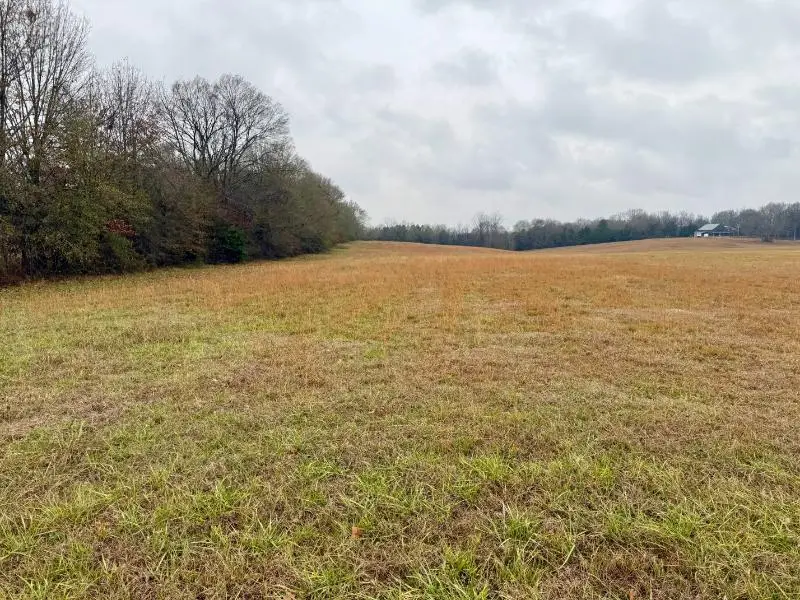 8.04 ac Norman Rd, Corinth, MS 38834 - Image #2