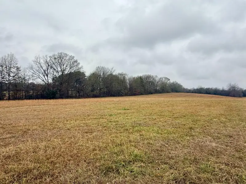 8.04 ac Norman Rd, Corinth, MS 38834 - Image #3