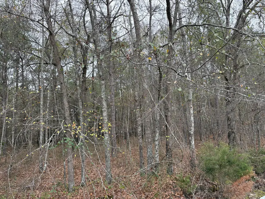 Parkview Dr., Amory, MS 38821 - Image #2