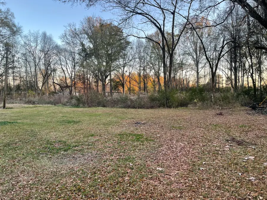 323 Old Highway 45, Shannon, MS 38868 - Image #2