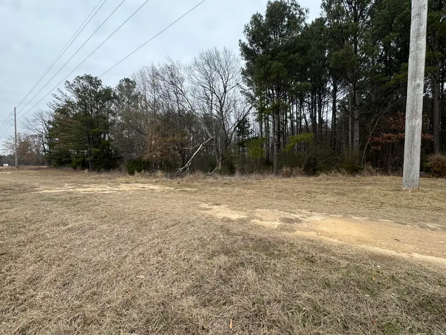 Noah Curtis St., Shannon, MS 38868 - Image #2