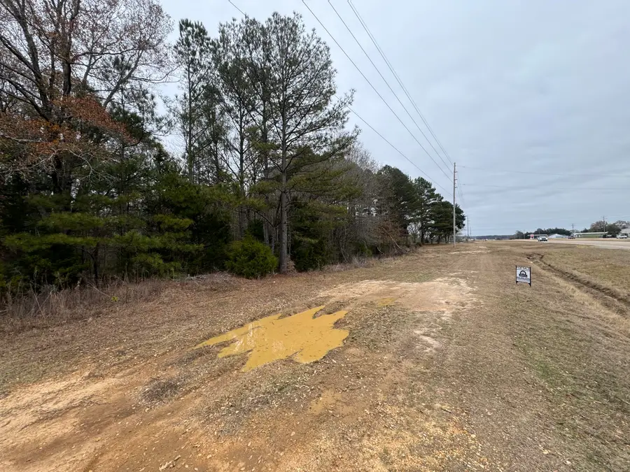 Noah Curtis St., Shannon, MS 38868 - Image #3