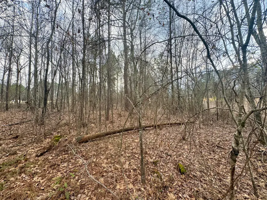 Lot 2 Sartain Road, Dennis, MS 38838 - Image #3