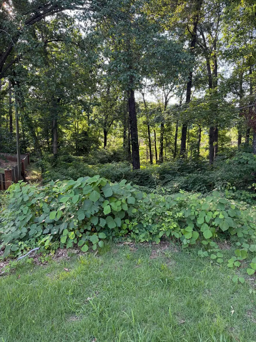 Turtle Creek Drive, Pontotoc, MS 38863 - #3