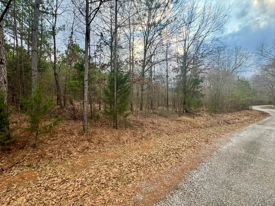 Lot 8 Sartain Road, Dennis, MS 38838 - Image #3