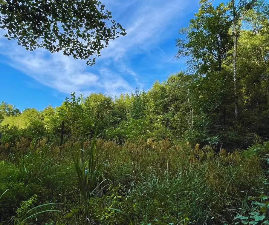 Ms-15, Houlka, MS 38850 - Image #2