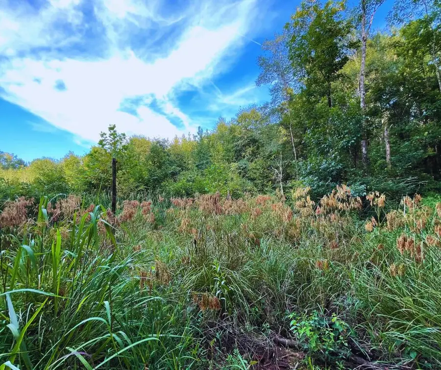 Ms-15, Houlka, MS 38850 - Image #3