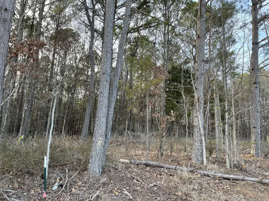 Tract #3 Cr 59, New Albany, MS 38652 - Image #3