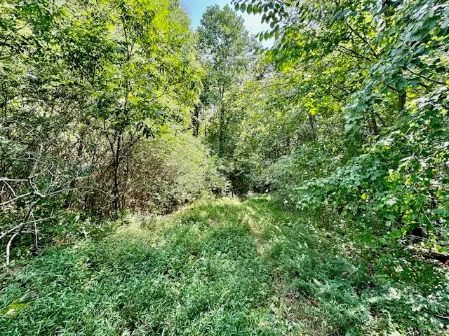 Tidwell Dr., Booneville, MS 38829 - #2