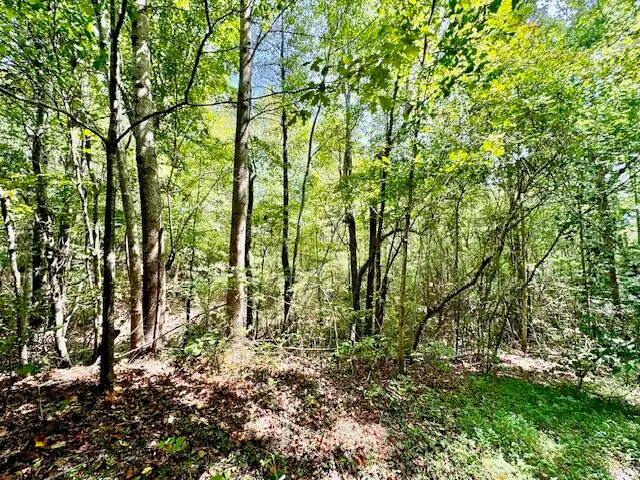 Tidwell Dr., Booneville, MS 38829 - #3