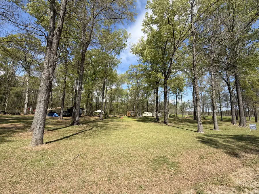 50004 Windrush Trail, Aberdeen, MS 39730 - #3