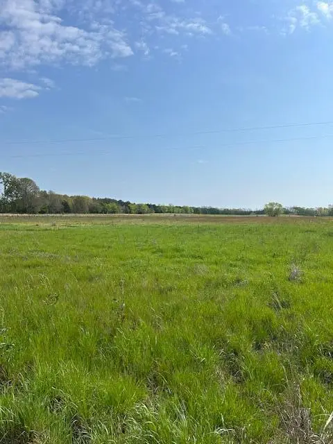 452 Artesia West Point Rd, Mayhew, MS 39753 - #3