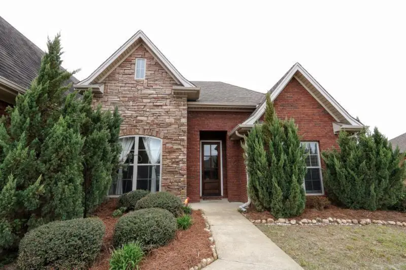 131 Rippavilla, Saltillo, MS 38866 - #2