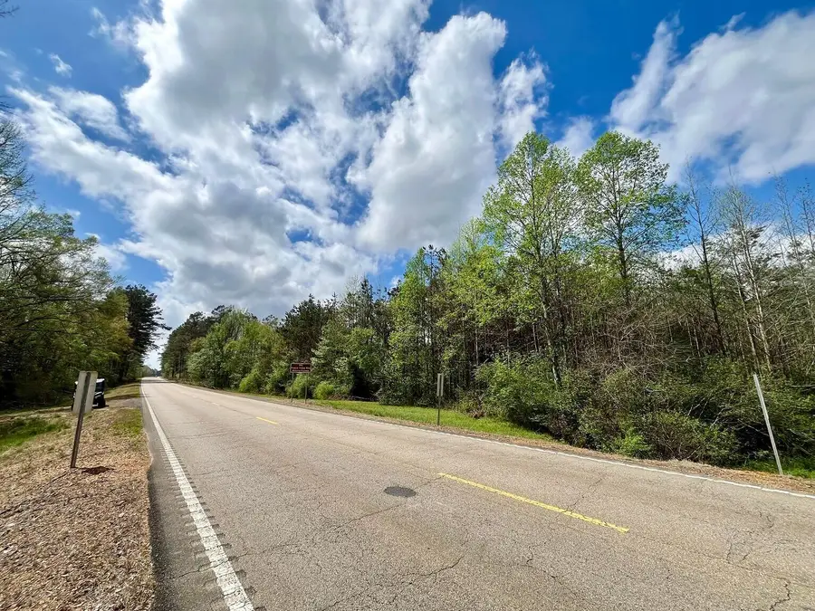 Mississippi 365, Burnsville, MS 38833 - #2