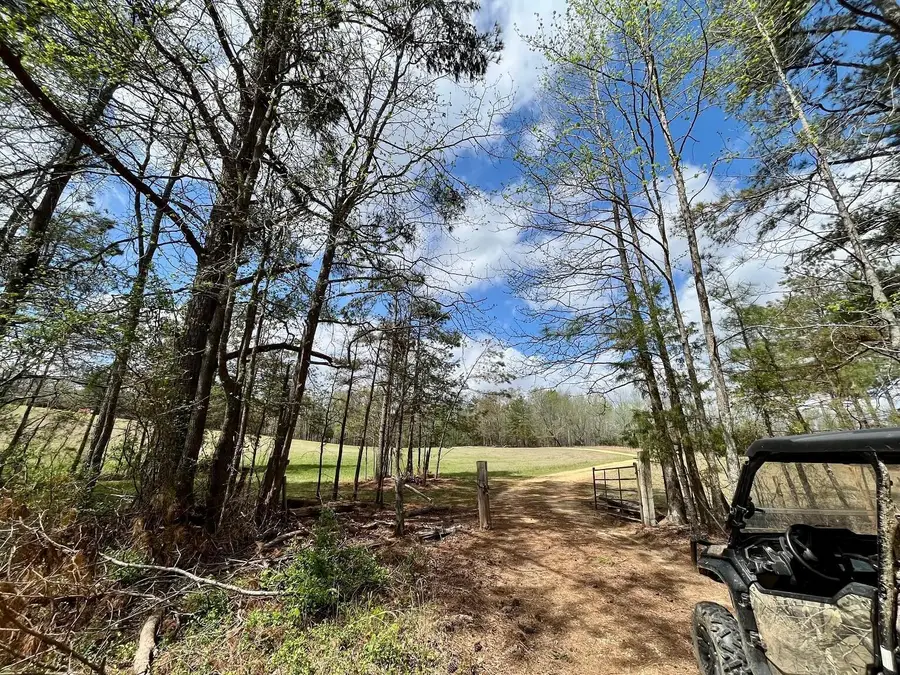 Mississippi 365, Burnsville, MS 38833 - #3