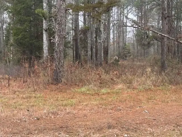 367 Greenbrier Rd, Belden, MS 38826 - Image #2