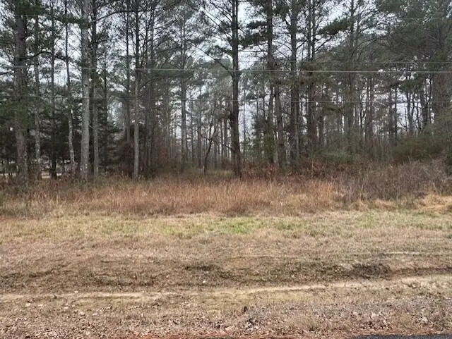 367 Greenbrier Rd, Belden, MS 38826 - Image #3