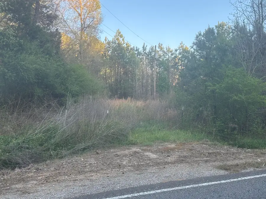 Coontail Road, Aberdeen, MS 39730 - #2