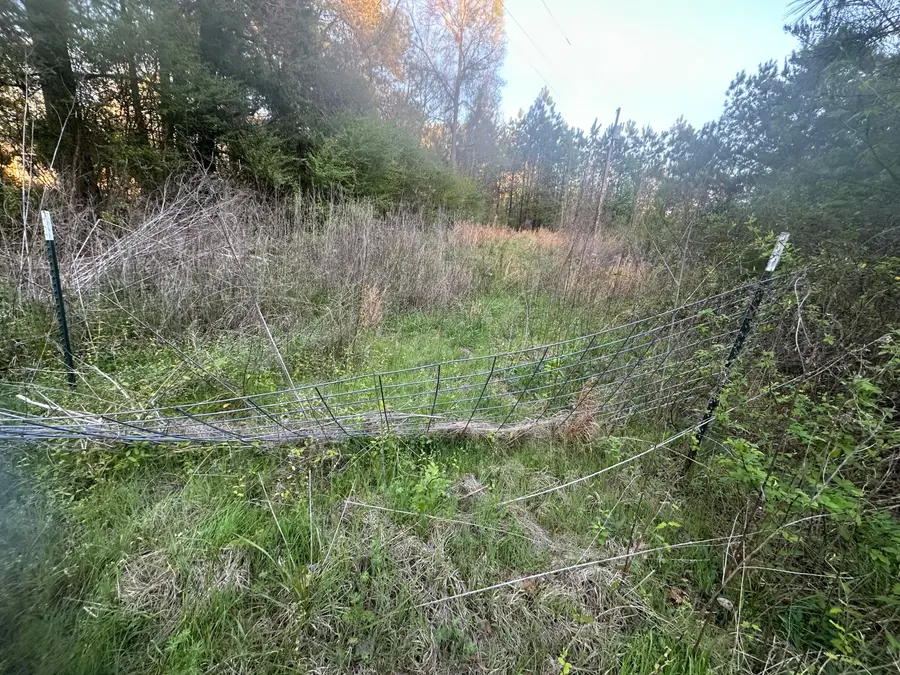 Coontail Road, Aberdeen, MS 39730 - #3