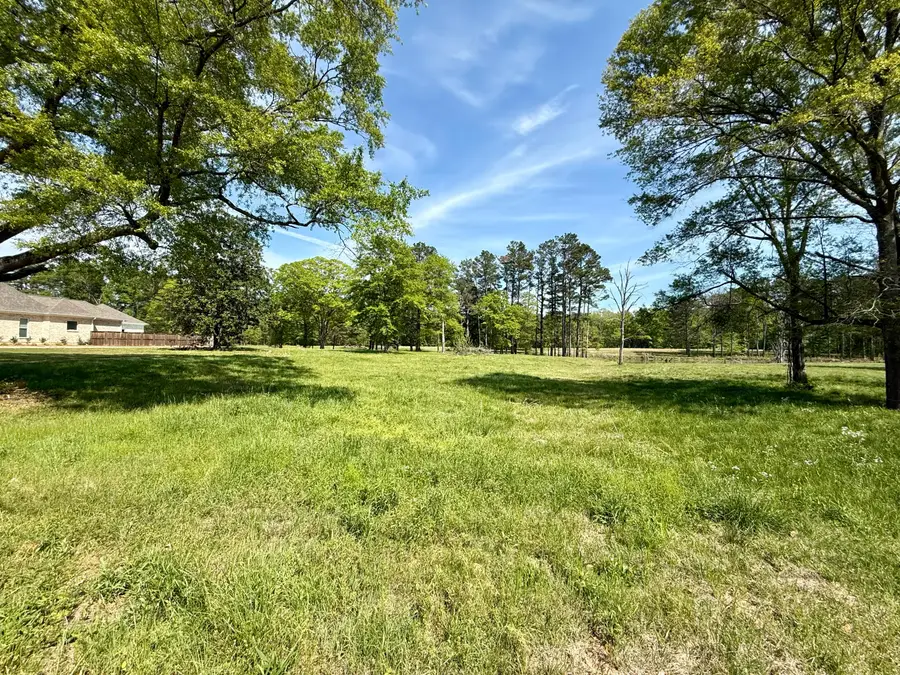 Lot 4 Fern Gully, Saltillo, MS 38866 - #2