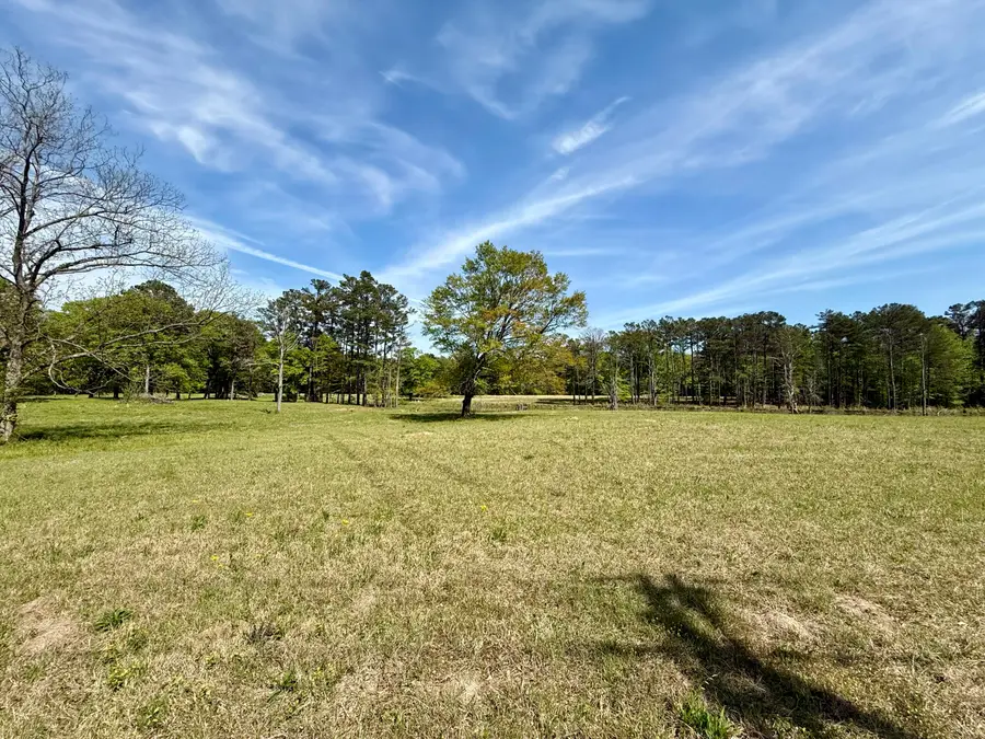 Lot 6 Fern Gully, Saltillo, MS 38866 - #2