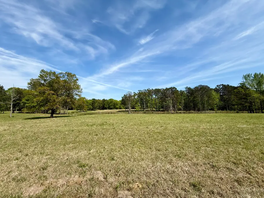 Lot 7 Fern Gully, Saltillo, MS 38866 - #2
