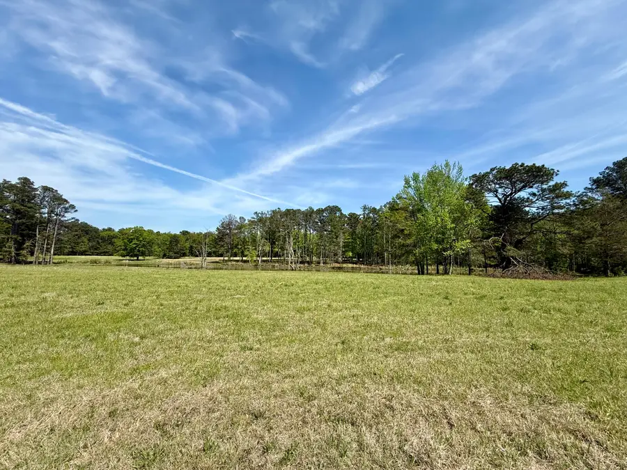 Lot 8 & 10 Fern Gully, Saltillo, MS 38866 - #3