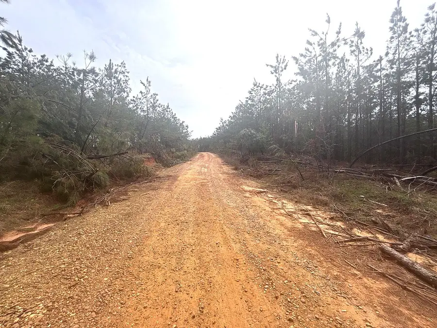 404 County Road 373, Iuka, MS 38852 - #2