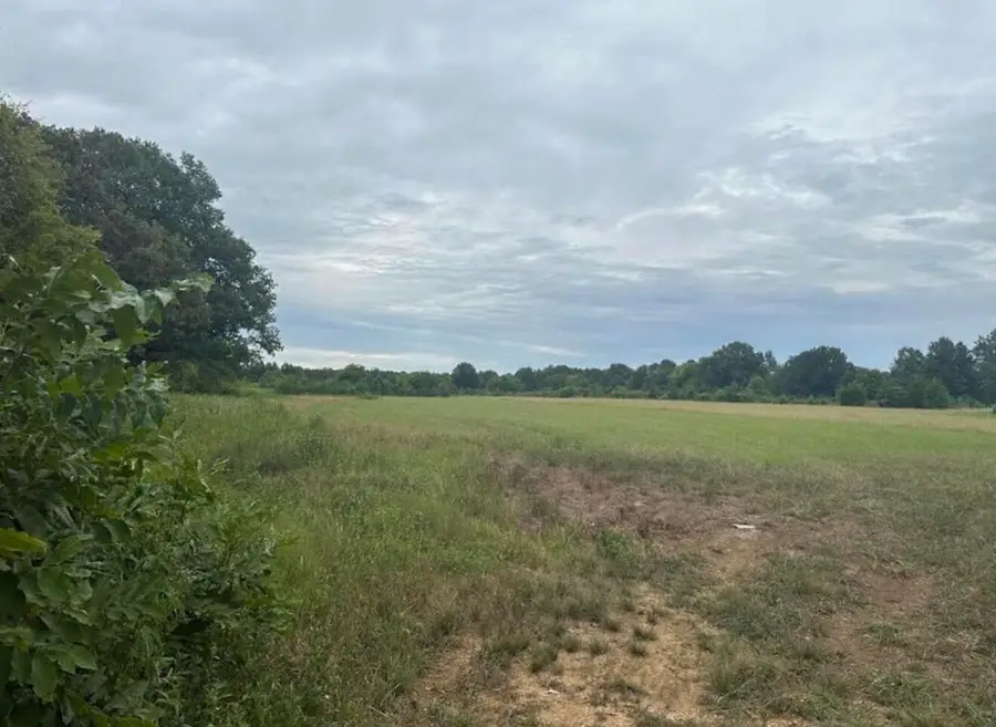 Lot 17 County Road 177, Okolona, MS 38860 - #3
