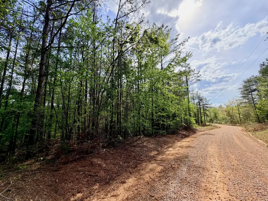 Cr 312, Tiplersville, MS 38674 - #2